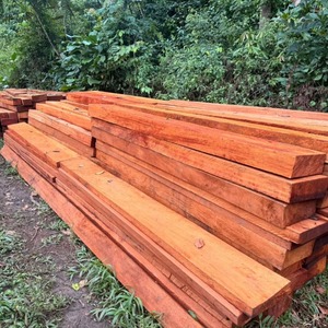 Bûches de bois de Padauk frais, bois rouge naturel de qualité export pour la construction et l'ameublement - Product Image 3