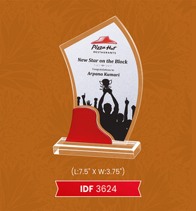 Medallas y placas de trofeos acrílicos de cristal personalizados de primera calidad con regalos conmemorativos de Campeones con logotipo - Product Image 2