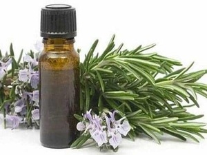 Cajuput Huile Essentielle Pure Exportateur en gros avec des prix très nominaux - Product Image 3