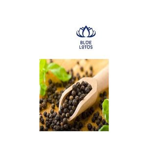 GEM Sauce aux graines de papaye - Product Image 1