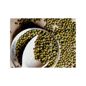 Wholesale High Quality Green <b>Vigna</b> Mung <b>Beans</b> Green Gram <b>Vigna</b> Green <b>Beans</b> Mung <b>Beans</b> Green Moong - Product Image 1