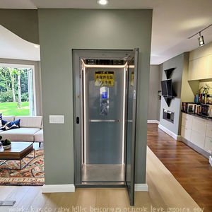 Yongli لوح كهربائي صغير للمنزل Elevadores Residenciales مثبت على الحائط 3 طوابق للمرآب المنزلي - Product Image 3