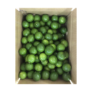 Citron vert sans pépins juteux Citron vert du Vietnam pour jus, cornichons et service alimentaire Prêt à l'exportation Lime juteuse sans pépins Citron vert du Vietnam - Product Image 4