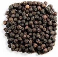 Vente en gros 100% poivre noir pur biologique endroit frais et sec herbes et épices à un bon prix