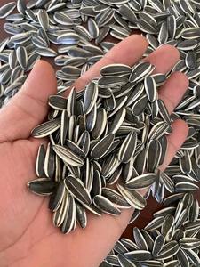 Noyaux noix de tournesol croquantes, nutritives et délicieuses pour une énergie quotidienne de qualité supérieure - Product Image 6