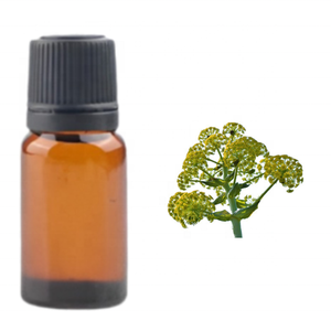 Bán buôn galbanum resinoid kanha thiên nhiên các loại dầu của Ấn Độ lớn nhất có uy tín nhà sản xuất tinh khiết tinh dầu trà Cây gỗ đàn hương da - Product Image 3