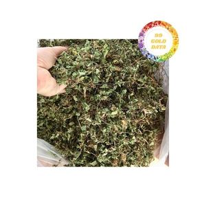 สารสกัดจากใบบัวบกแห้งจำนวนมากมีความเสถียรในการนำเข้าสินค้าส่งออกสินค้าขายส่ง - Product Image 4