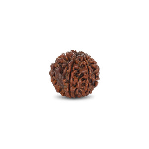 Perles de Rudraksha de 2,72 carats, 6 mm, 8 mm, 10 mm, en vrac, pour la fabrication de bijoux, bracelets, décoration, pierres perlées - Product Image 1