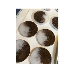 Ensemble de sous-verres uniques en résine faite à la main avec un design floral intégré ajoutant une beauté naturelle aux décorations intérieures - Product Image 3