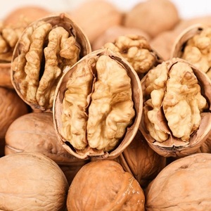 Suministro Directo de Huerto, Nueces de Grano Grande de Primera Calidad, Nueces Frescas Naturales de Primera Calidad - Product Image 6