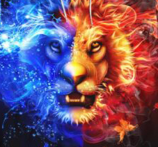 Sublimación con capucha personalizable para hombre en varios colores y tamaños para el invierno-Poliéster/Algodón Teñido Liso - Product Image 2