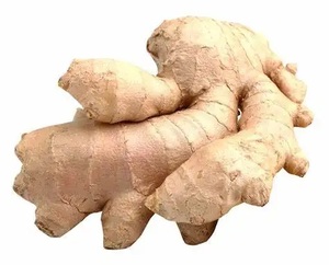 Exportateur de gingembre en gros avec des prix compétitifs - Product Image 1