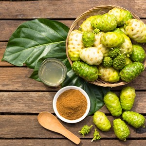Prix le moins cher poudre de fruits secs noni plantes herbes extrait poudre produite par la meilleure usine du Vietnam - Product Image 6