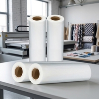 Rouleau de film PET DTF blanc laiteux 30cm 33cm 60cm simple face double face enduit à chaud pour imprimante à encre pigmentée DTF
