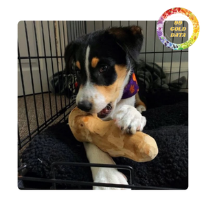 Juguete de madera para mascotas de Vietnam |   Entretenimiento y apoyo para la rutina de cuidado dental de tu mascota - Product Image 3