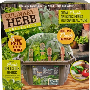 Kit de démarrage de jardin d'herbes d'intérieur, 5 sachets, terrarium comprenant <span class=keywords><strong>basilic</strong></span>, origan, persil, terreau, pots à fleurs, jardinières - Product Image 1