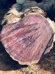 ไม้โรสวูด  ไม้โรสวูดเกรดพรีเมียม  ไม้แปรรูปโรสวูด - Product Image 2