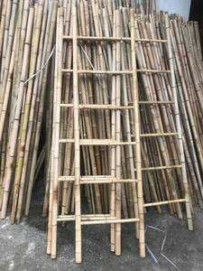 Échelles en bambou de bonne qualité et de prix 100% naturel fabriqué au Vietnam utilisé pour décorer une seule ligne droite - Product Image 2