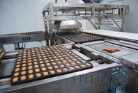 Mini Machine à Gâteaux Moelleux Entièrement Automatique pour Petites Entreprises, Ligne de Production de Muffins, Machine de Fabrication de Gâteaux