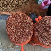 Cannelle de Cassia séchée du Vietnam, transformée par procédé AD, bâtonnets de 8 cm, haute qualité, pour cigarettes. WhatsApp +84 35931 3086