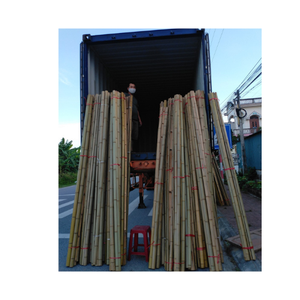 Poste de bambú de alta calidad para protectores de árboles de Vietnam: bastones de bambú rectos secos naturales para construcción de grandes tamaños - Product Image 2