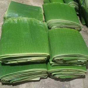 Proveedor Mayorista de Hojas de Plátano Frescas de Alta Calidad para Restaurantes, Procesamiento de Alimentos y Mercados Internacionales - Product Image 1