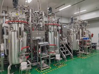 Fermenteur en acier inoxydable de 500 L, réacteur de fermentation pour probiotiques