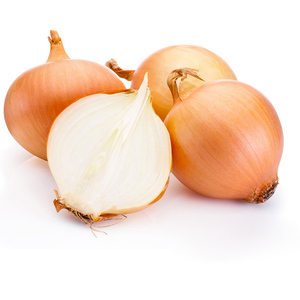 Cebollas amarillas frescas de alta calidad disponibles para tamaños de etiqueta privada al por mayor 50mm 70mm 5 - 25kg Bolsas al mejor precio - Product Image 4
