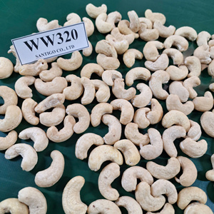 Anacardos de fábrica de confianza W320 Kernel Kaju Badam SANTIGO Vietnam W320 anacardos exportados a todo el mundo - Product Image 1
