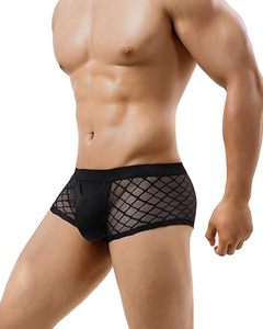 Tanga Sexy Erótico de Encaje para Hombre, Ropa Interior de Malla Transparente, Lencería Gay Genial - Product Image 2