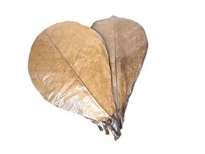 Paquete de 1000 piezas de calidad fina de 21-25cm hojas de limpieza de mascotas de plástico de almendra India 8,26-9,8 \ "para mascotas - Product Image 4