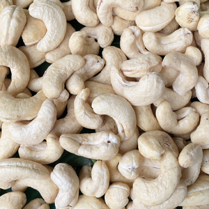 Venta Caliente 2023 Nueces de Anacardo WW180, WW240, WW320, LP Nueces de Anacardo Crudas Nueces de Anacardo Crudas de Tanzania Listas para Enviar - Product Image 1