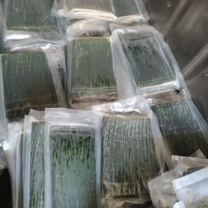 ใบตองแช่แข็งสดและสะอาดพร้อมส่งออกทั่วโลก - Product Image 4