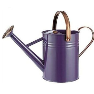 Arrosoir en métal de qualité supérieure de style moderne, finition personnalisée pour la maison et le jardin d'hôtel, usage quotidien - Product Image 4