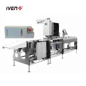 Precise Carton Box Manufacturing Machinery Assembly Equipment Flexible Carton Sealing and Labeling System