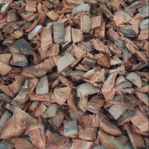 CASCA DE COCO CRUDO SECA ORIGINAL QUE FABRICA CARBÓN CALIENTE EXPORTACIÓN 2024 - Product Image 3