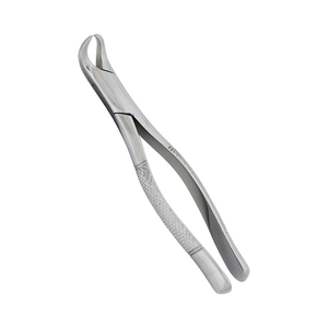 Hot Selling Manual Dental Forceps Customized 2025 <b>Heavy</b> <b>Duty</b> Extracting Instrument High Quality Medical Instrument for Export - Product Image 3