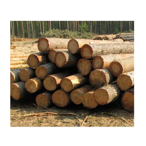 Grumes de pin de haute qualité sans nœuds et défauts - Product Image 2