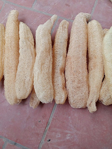 ฟองน้ำใยบวบดิบสำหรับอาบน้ำเป็นมิตรต่อสิ่งแวดล้อมโดย Vigi ฟาร์มสินค้าขายส่ง - Product Image 6