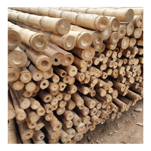 Poste de bambú seco para construcción-Estacas de bambú Materiales de caña de bambú en venta al por mayor - Product Image 1