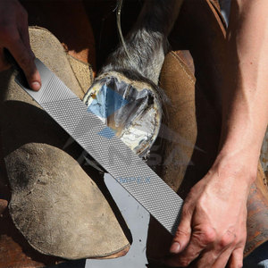 Lima de Acero Inoxidable de Alta Resistencia de 18 Pulgadas para Recortar Cascos de Caballos, Reparar Cascos de Cabras, Vacas y Burros - Product Image 6