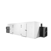 Automatische droogmachine met variabele temperatuur voor gedroogd fruit