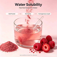 Bulk Fruitpoeder Collectie Aardbei Blauwe Bes Mango Framboos Cranberry Spraygedroogd Vriesgedroogd Poeder