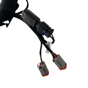Aanpasbare Grote Limiet Schakelaar Kabelboom Diverse Modellen Aan De Rechterkant Ptfe Ptfe Nylon Rubber Isolatie Voor Elektronica - Product Image 2