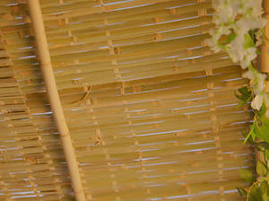 Tapis de Sukkot en bambou durable au prix le plus bas Sangle de bambou Tapis en raphia en bambou vert en matériau naturel - Product Image 5