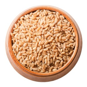 Semillas de Cebada Secas Naturales de Grado Alimenticio e Ingrediente de Malta a Granel para Hornear y Cocinar, Almacenamiento en Frío y Seco, Vida Útil de 2 Años - Product Image 3