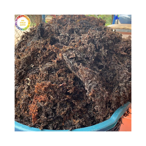 Natural Dried Sargassum Seaweed High Alginate Content for Fertilizer <b>Production</b> and <b>Animal</b> Feed Bulk - Product Image 1