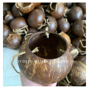 De coco NATURAL cáscara olla de flor plantación o jardinería/hecho a mano de cáscara de coco olla/cáscara de coco pote de flor - Product Image 5