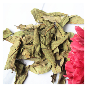 Feuille de goyave séchée en vrac du Vietnam Convient aux sachets de thé Savon fait main Soins des cheveux et plus - Product Image 5