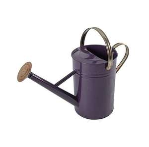 Regadera de Metal con Boquilla Ancha y Asa para Plantas de Interior y Exterior, Vertido Preciso, Duradera, Resistente al Óxido, Herramienta Profesional para Jardín y Hogar - Product Image 5